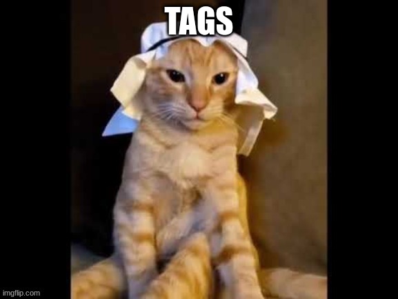 Ryn | TAGS | image tagged in ryn | made w/ Imgflip meme maker