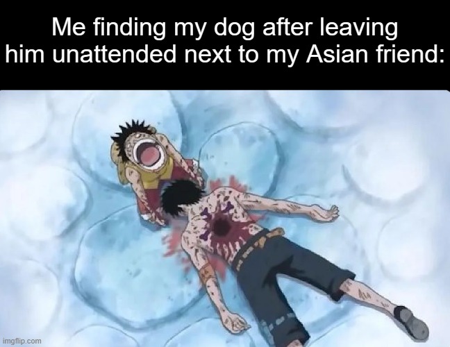 Me finding my dog after leaving him unattended next to my Asian friend: | made w/ Imgflip meme maker