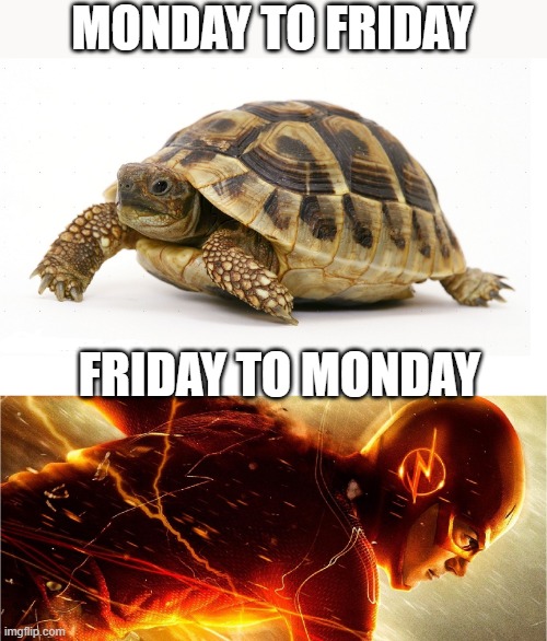 THE WEEKEND IS OVER | MONDAY TO FRIDAY; FRIDAY TO MONDAY | image tagged in slow vs fast meme,weekend,upvote,happy monday | made w/ Imgflip meme maker