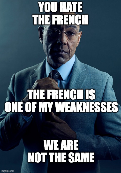 It's true | YOU HATE THE FRENCH; THE FRENCH IS ONE OF MY WEAKNESSES; WE ARE NOT THE SAME | image tagged in gus fring we are not the same,french | made w/ Imgflip meme maker