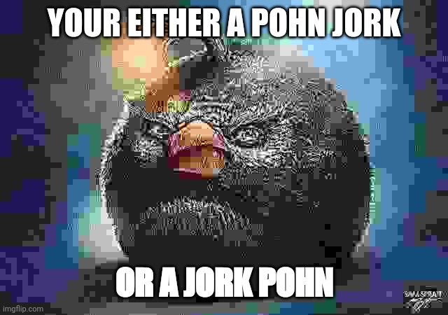 Quote from sun tsu | YOUR EITHER A POHN JORK; OR A JORK POHN | image tagged in angry birds bomb | made w/ Imgflip meme maker