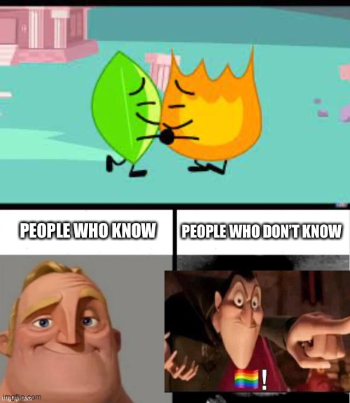 bfdi memes 4 | PEOPLE WHO DON’T KNOW; PEOPLE WHO KNOW | image tagged in firey hugging leafy,people who don't know vs people who know | made w/ Imgflip meme maker