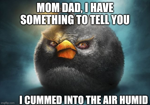 Now the air is full of it | MOM DAD, I HAVE SOMETHING TO TELL YOU; I CUMMED INTO THE AIR HUMID | image tagged in angry birds bomb | made w/ Imgflip meme maker