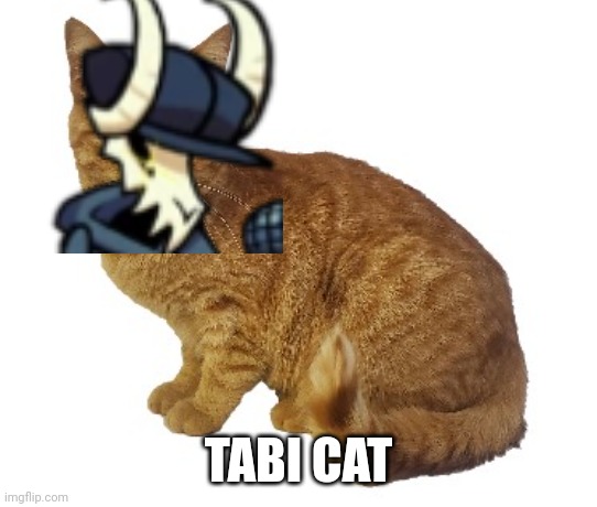orange tabby cat sitting | TABI CAT | image tagged in orange tabby cat sitting | made w/ Imgflip meme maker