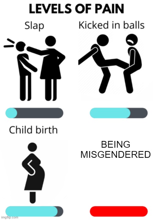 Old meme that I never submitted | BEING MISGENDERED | made w/ Imgflip meme maker