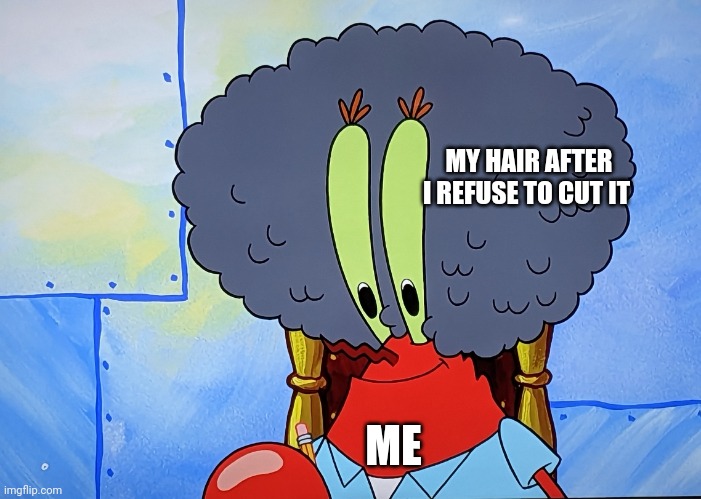 When I don't get a haircut | MY HAIR AFTER I REFUSE TO CUT IT; ME | image tagged in old man krabs without hairpin | made w/ Imgflip meme maker