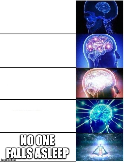 Expanding Brain 5 Panel | NO ONE FALLS ASLEEP | image tagged in expanding brain 5 panel | made w/ Imgflip meme maker