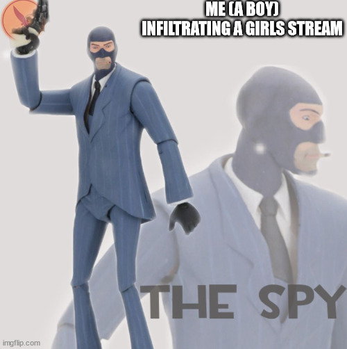 hehehe | ME (A BOY) INFILTRATING A GIRLS STREAM | image tagged in meet the spy | made w/ Imgflip meme maker