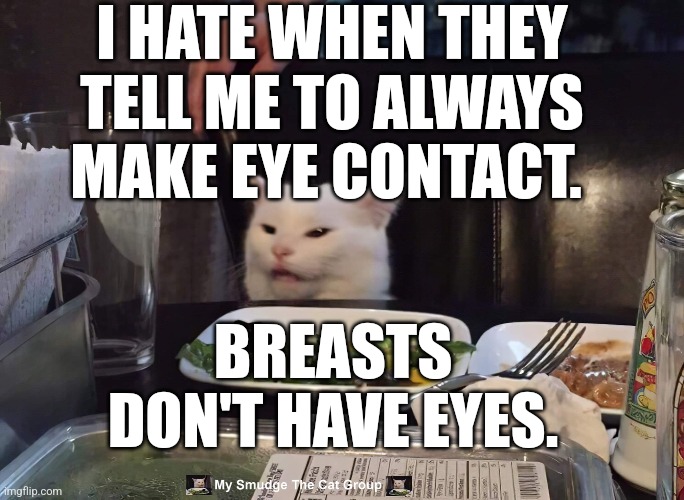 I HATE WHEN THEY TELL ME TO ALWAYS MAKE EYE CONTACT. BREASTS DON'T HAVE EYES. | image tagged in smudge the cat,memes,funny memes | made w/ Imgflip meme maker