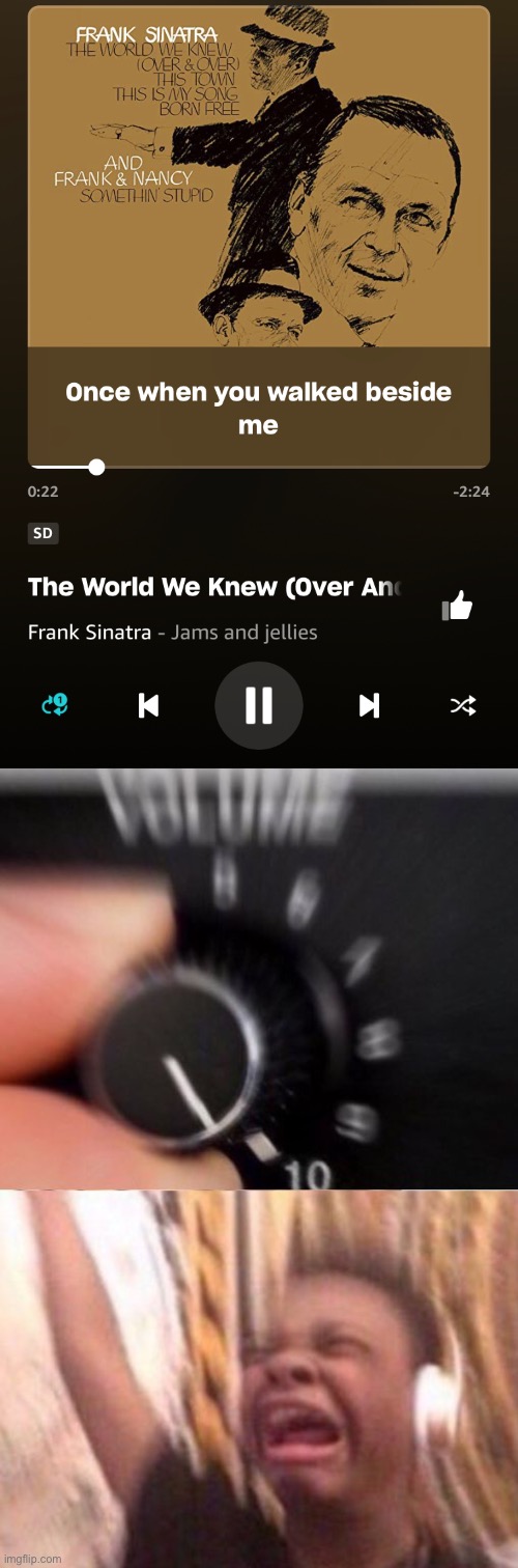 I love frank sinarta | image tagged in turn up the volume | made w/ Imgflip meme maker