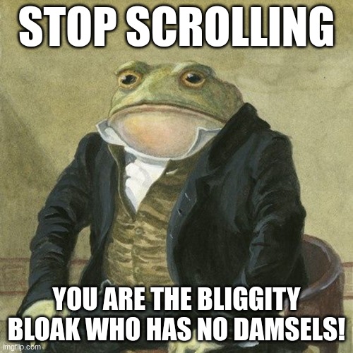 Gentlemen, it is with great pleasure to inform you that | STOP SCROLLING; YOU ARE THE BLIGGITY BLOAK WHO HAS NO DAMSELS! | image tagged in gentlemen it is with great pleasure to inform you that | made w/ Imgflip meme maker