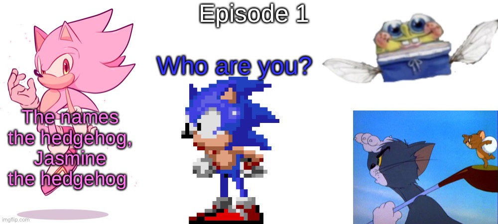 S3 - Genderbent | Episode 1; Who are you? The names the hedgehog, Jasmine the hedgehog | made w/ Imgflip meme maker