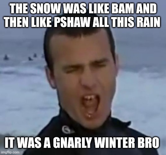 Spring is here | THE SNOW WAS LIKE BAM AND THEN LIKE PSHAW ALL THIS RAIN; IT WAS A GNARLY WINTER BRO | image tagged in drunk surfer | made w/ Imgflip meme maker