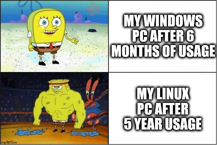 Windows VS Linux | MY WINDOWS PC AFTER 6 MONTHS OF USAGE; MY LINUX PC AFTER 5 YEAR USAGE | image tagged in weak vs strong spongebob | made w/ Imgflip meme maker