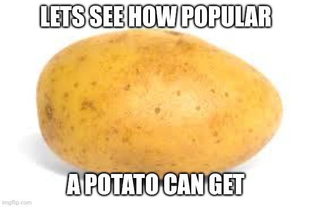 Potatto? | LETS SEE HOW POPULAR; A POTATO CAN GET | image tagged in potato | made w/ Imgflip meme maker