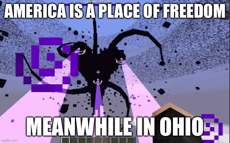 AMERICA IS A PLACE OF FREEDOM; MEANWHILE IN OHIO | made w/ Imgflip meme maker