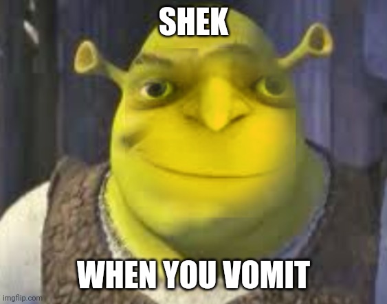 Shek | SHEK; WHEN YOU VOMIT | image tagged in shek | made w/ Imgflip meme maker