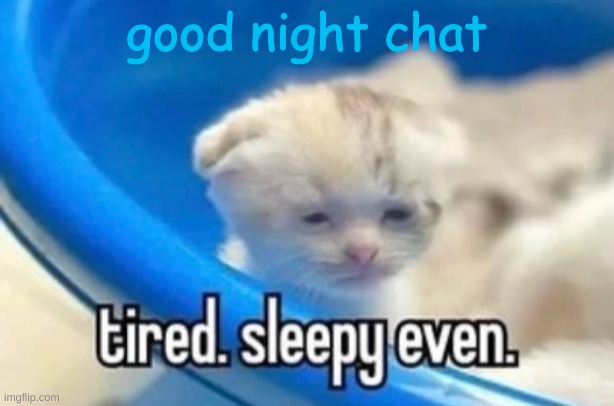 sleepy | good night chat | image tagged in sleepy | made w/ Imgflip meme maker