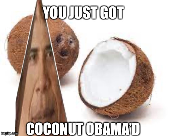 YOU JUST GOT COCONUT MALLED | YOU JUST GOT; COCONUT OBAMA’D | image tagged in you just got coconut malled | made w/ Imgflip meme maker