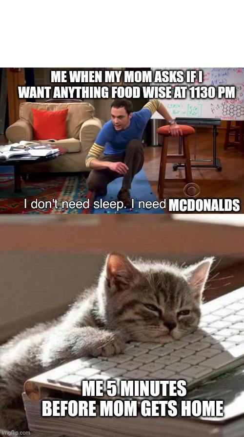 ME WHEN MY MOM ASKS IF I WANT ANYTHING FOOD WISE AT 1130 PM; MCDONALDS; ME 5 MINUTES BEFORE MOM GETS HOME | image tagged in i don't need sleep i need answers,tired cat | made w/ Imgflip meme maker