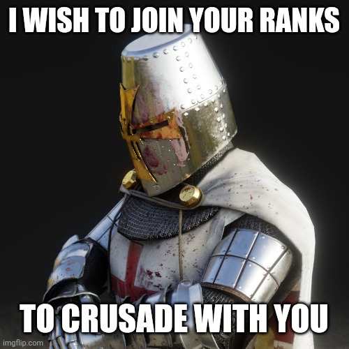 So true | I WISH TO JOIN YOUR RANKS; TO CRUSADE WITH YOU | image tagged in paladin | made w/ Imgflip meme maker