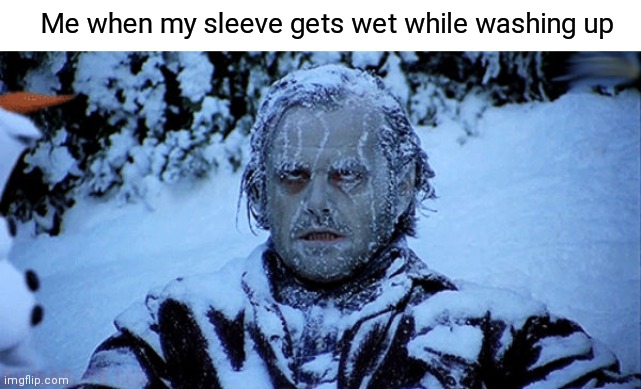 Wet Sleeve | Me when my sleeve gets wet while washing up | image tagged in freezing cold,wet | made w/ Imgflip meme maker