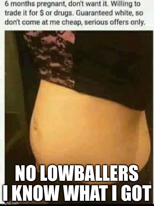 Child 4 sale | NO LOWBALLERS
I KNOW WHAT I GOT | image tagged in baby,sale,white,white trash | made w/ Imgflip meme maker