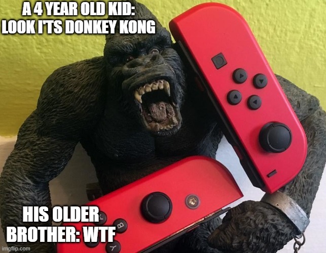 Nintendogorrila | A 4 YEAR OLD KID: LOOK I'TS DONKEY KONG; HIS OLDER BROTHER: WTF | image tagged in nintendo gorrila | made w/ Imgflip meme maker