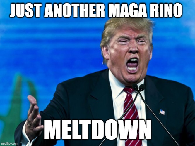 the baby child trump crying | JUST ANOTHER MAGA RINO; MELTDOWN | image tagged in trump yelling,rino,maga,donald trump the clown,donald trump is an idiot,never trump | made w/ Imgflip meme maker