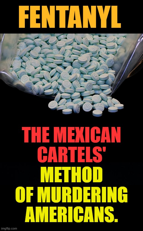 One Does Have To Wonder How Much They're Getting Paid For It | FENTANYL; THE MEXICAN CARTELS'; METHOD OF MURDERING AMERICANS. | image tagged in memes,politics,fentanyl,cartels,murder,americans | made w/ Imgflip meme maker