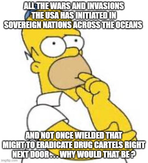 Homer Simpson Hmmmm | ALL THE WARS AND INVASIONS THE USA HAS INITIATED IN SOVEREIGN NATIONS ACROSS THE OCEANS AND NOT ONCE WIELDED THAT MIGHT TO ERADICATE DRUG CA | image tagged in homer simpson hmmmm | made w/ Imgflip meme maker