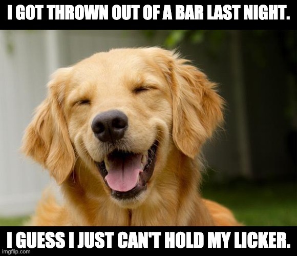 Licker | image tagged in bad pun | made w/ Imgflip meme maker