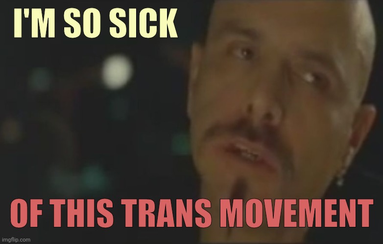 Most people are. | I'M SO SICK; OF THIS TRANS MOVEMENT | image tagged in memes | made w/ Imgflip meme maker