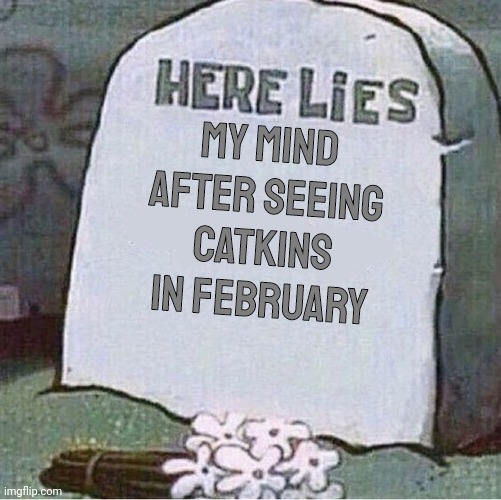Spring or winter? | My mind after seeing catkins in february | image tagged in here lies spongebob tombstone,fun | made w/ Imgflip meme maker