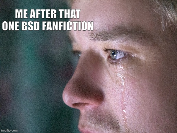Crying and sobbing after it | ME AFTER THAT ONE BSD FANFICTION | image tagged in crying,sad,homosexual,you didn't read the tag besides me | made w/ Imgflip meme maker