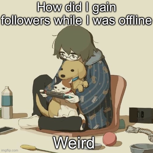 Avogado6 | How did I gain followers while I was offline; Weird | image tagged in avogado6 | made w/ Imgflip meme maker