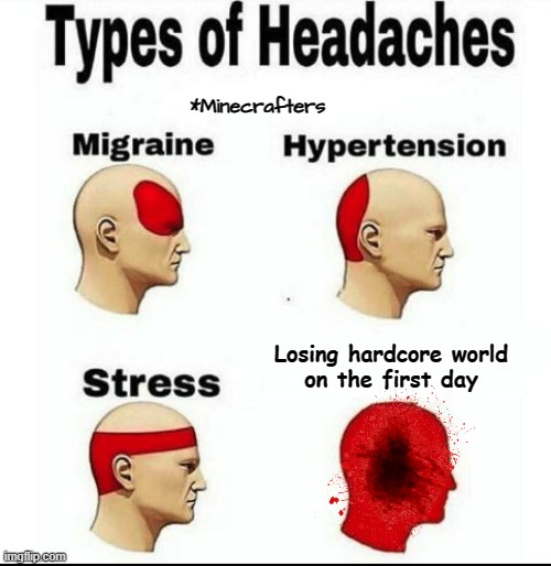 Minecrafter can relate | *Minecrafters; Losing hardcore world
on the first day | image tagged in types of headaches meme | made w/ Imgflip meme maker