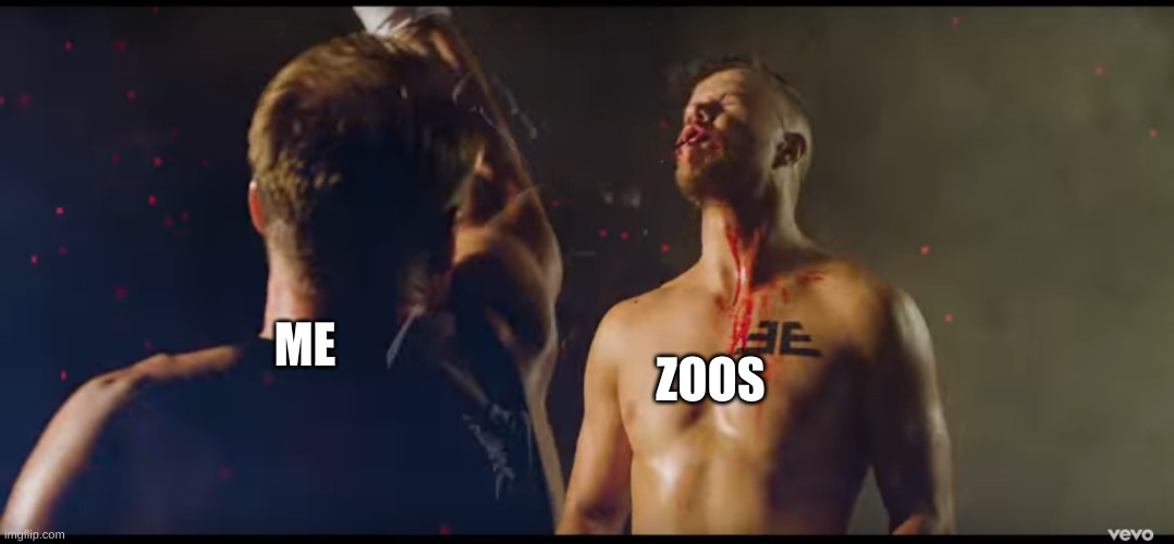 Dan Reynolds Gets Punched | ME ZOOS | image tagged in dan reynolds gets punched | made w/ Imgflip meme maker