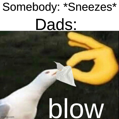 I spent way too long making this | Somebody: *Sneezes*; Dads:; blow | image tagged in shut,funny,meme | made w/ Imgflip meme maker