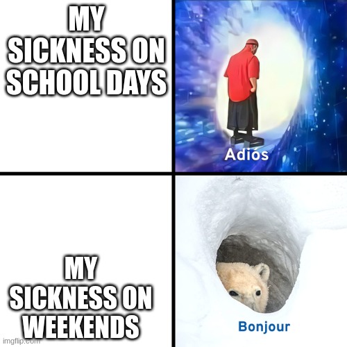 Adios Bonjour | MY SICKNESS ON SCHOOL DAYS; MY SICKNESS ON WEEKENDS | image tagged in adios bonjour | made w/ Imgflip meme maker