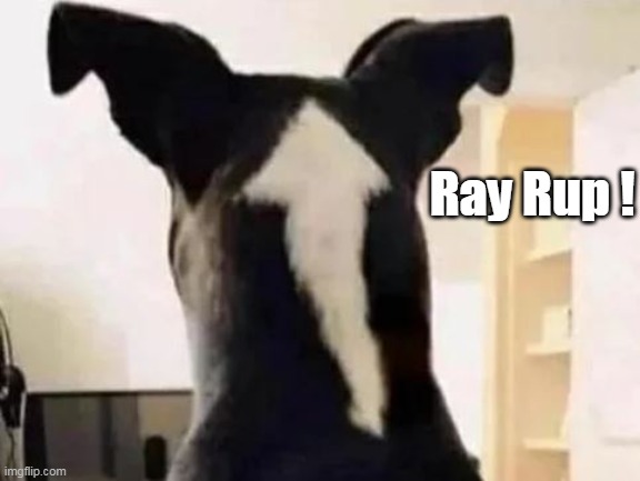 Ray Rup ! | made w/ Imgflip meme maker