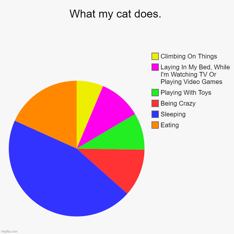 Meme #48 (2023) | What my cat does. | Eating, Sleeping, Being Crazy, Playing With Toys, Laying In My Bed, While I'm Watching TV Or Playing Video Games, Climbi | image tagged in cat,lol,pie charts | made w/ Imgflip chart maker