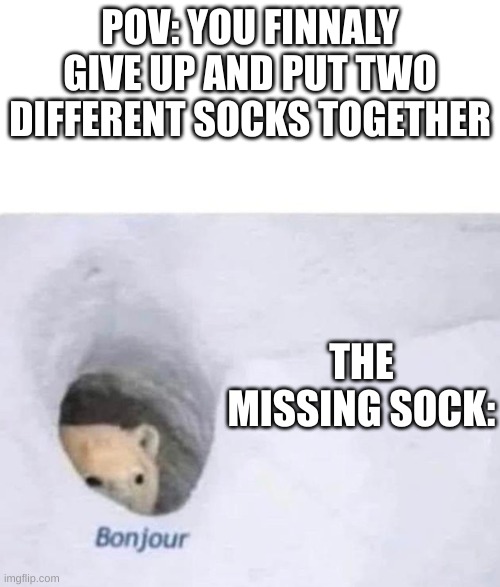 Bonjour | POV: YOU FINNALY GIVE UP AND PUT TWO DIFFERENT SOCKS TOGETHER; THE MISSING SOCK: | image tagged in bonjour | made w/ Imgflip meme maker