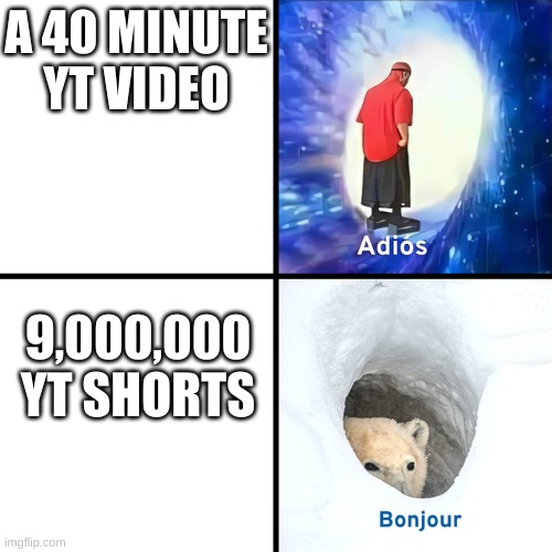 Adios Bonjour | A 40 MINUTE YT VIDEO; 9,000,000 YT SHORTS | image tagged in adios bonjour | made w/ Imgflip meme maker