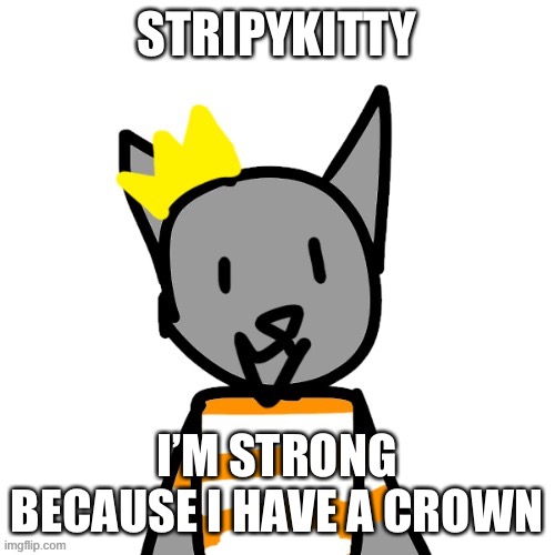 STRIPYKITTY; I’M STRONG BECAUSE I HAVE A CROWN | made w/ Imgflip meme maker