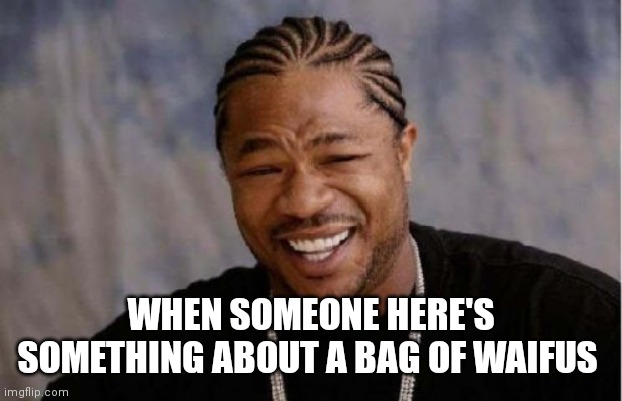 Bag of waifus people's reaction | WHEN SOMEONE HERE'S SOMETHING ABOUT A BAG OF WAIFUS | image tagged in memes,yo dawg heard you,funny memes | made w/ Imgflip meme maker