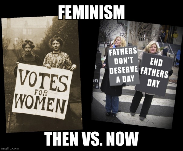 Ok ok ok, but remember when feminism used to actually do something right? | image tagged in feminist | made w/ Imgflip meme maker