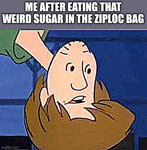 ScOoBy, LiKe, mAn, I DoNt tHiNk ThIs Is SuGaR | ME AFTER EATING THAT WEIRD SUGAR IN THE ZIPLOC BAG | image tagged in inverted shaggy | made w/ Imgflip meme maker