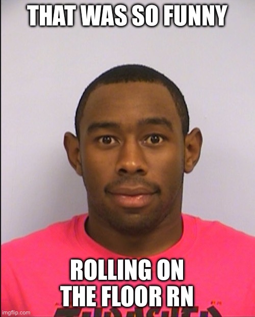 Tyler Mugshot | THAT WAS SO FUNNY ROLLING ON THE FLOOR RN | image tagged in tyler mugshot | made w/ Imgflip meme maker