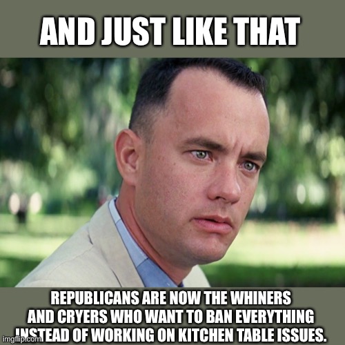 And Just Like That | AND JUST LIKE THAT; REPUBLICANS ARE NOW THE WHINERS AND CRYERS WHO WANT TO BAN EVERYTHING INSTEAD OF WORKING ON KITCHEN TABLE ISSUES. | image tagged in memes,and just like that | made w/ Imgflip meme maker